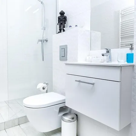 Aparthotel Black Swan House, Old Town